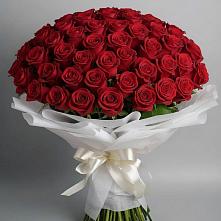 Букет 101 Красная роза Блэк Мэджик в Заводоуковске