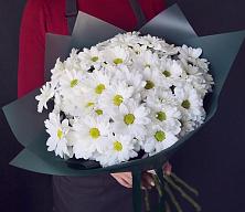 Букет цветов из:  Хризантемы #REPLACE_PRED# Заводоуковске