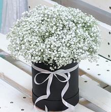 Цветочная композиция из Гипсофила в шляпной коробке #REPLACE_PRED# Заводоуковске