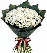 Букет цветов из:  Хризантемы в Заводоуковске