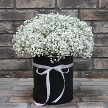 Цветочная композиция из Гипсофила в шляпной коробке #REPLACE_PRED# Заводоуковске