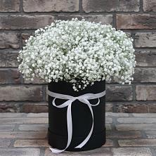 Цветочная композиция из Гипсофила в шляпной коробке в Заводоуковске