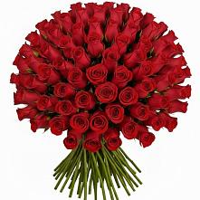 Букет Красные розы Чери Лав в Заводоуковске