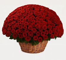 Премиум букет из: Розы в Заводоуковске