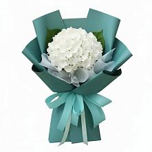Букет цветов из:  Гортензия в Заводоуковске